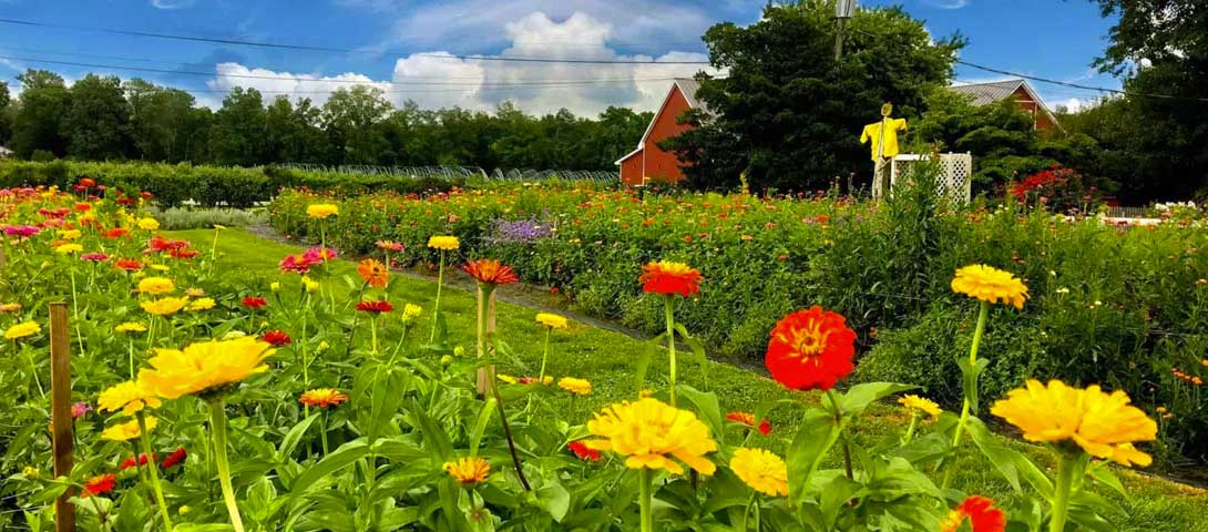 Terhune Orchards Vineyard Winery Archives Discover Central New Jersey