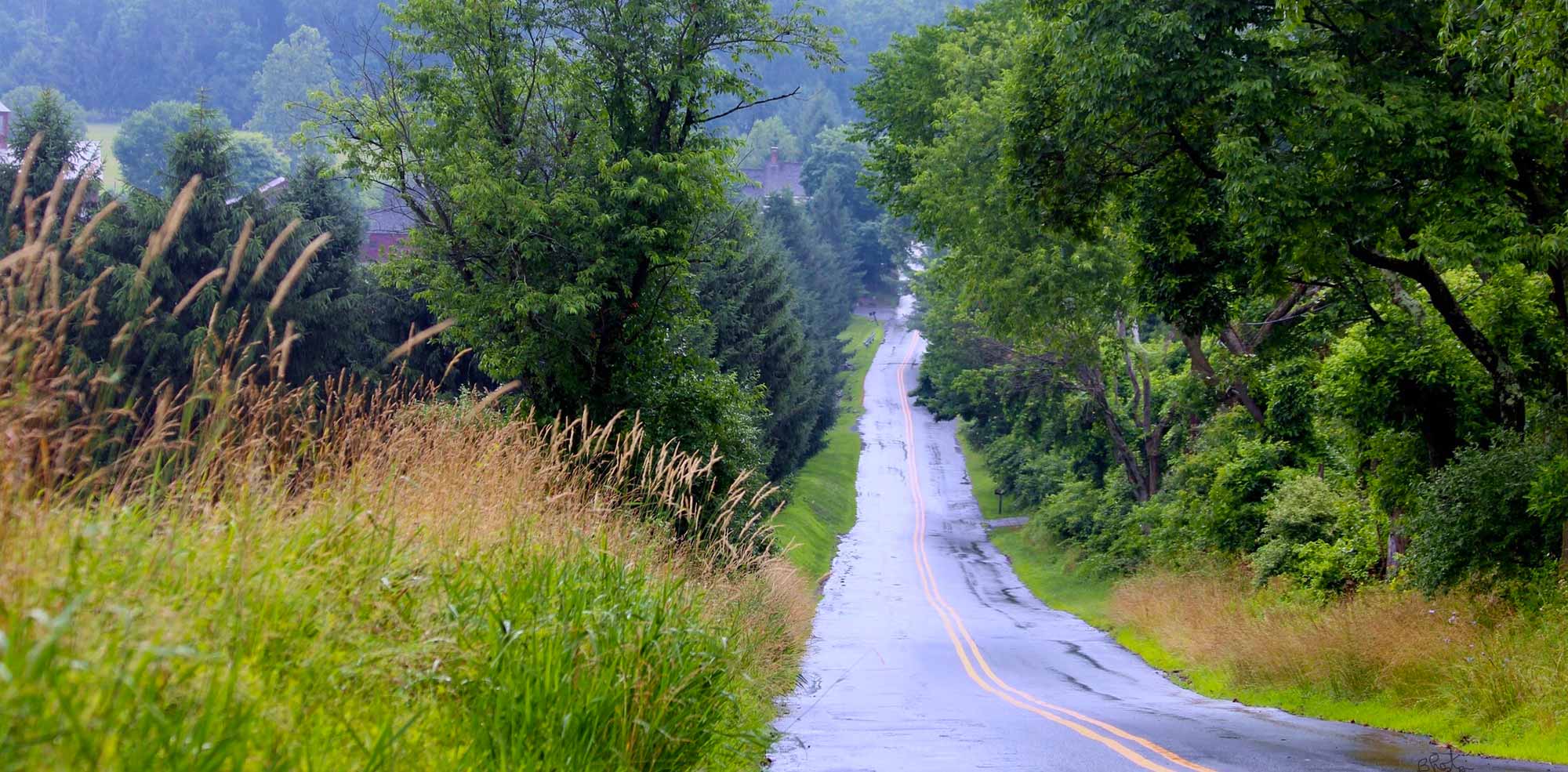 Long Winding Road In The Midst Of Trees And Vegetation On Hopewell Road In New Jersey About Us - Collaborative Initiative 