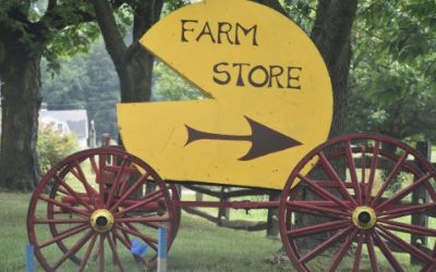 Central Jersey Tastings: Cheeses of Bobolink Dairy, Cherry Grove Farm