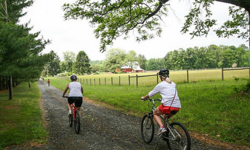 Central Jersey Has Become a Bicycling Mecca