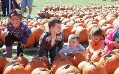 Join the Fun of Central Jersey’s Harvest Season!