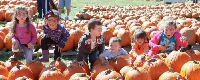 Join the Fun of Central Jersey’s Harvest Season!