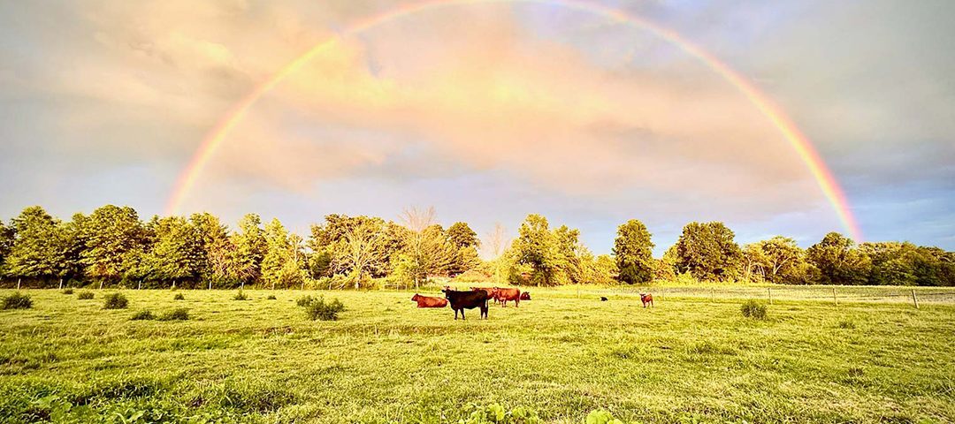 Abma’s Farm