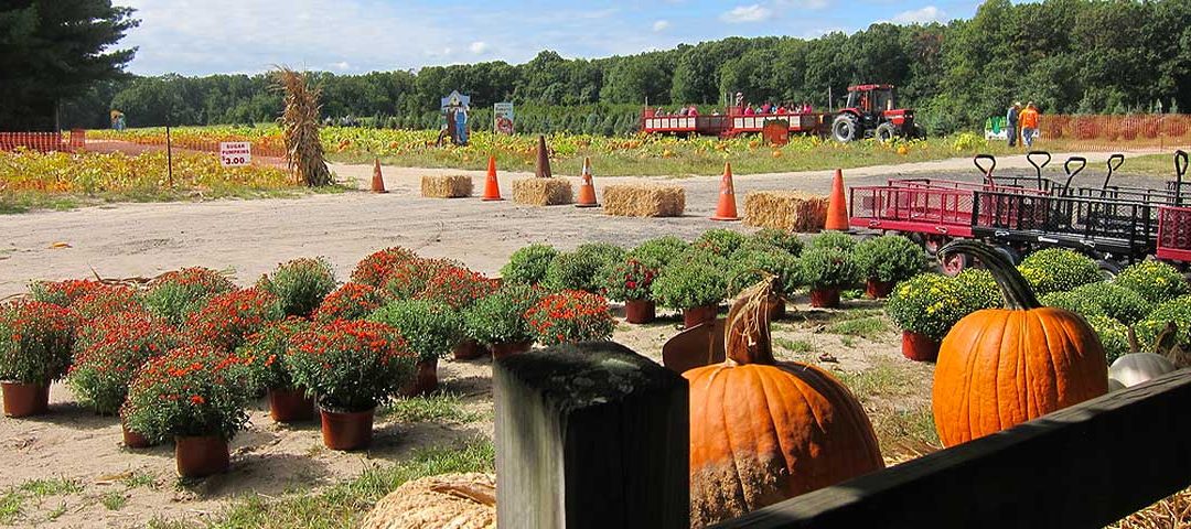 Giamarese Farm & Orchards